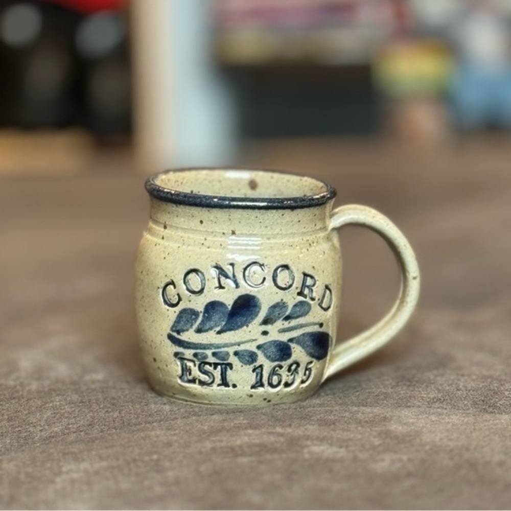 Vintage Westerwald Pottery Salt Glazed Stoneware Mug Concord 1635 1991